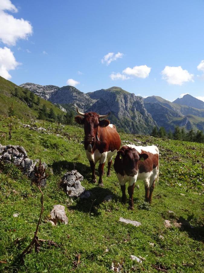 Apartament Malterlehen-Berchtesgaden Zewnętrze zdjęcie